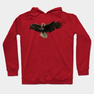 Majestic Bald Eagle Hoodie